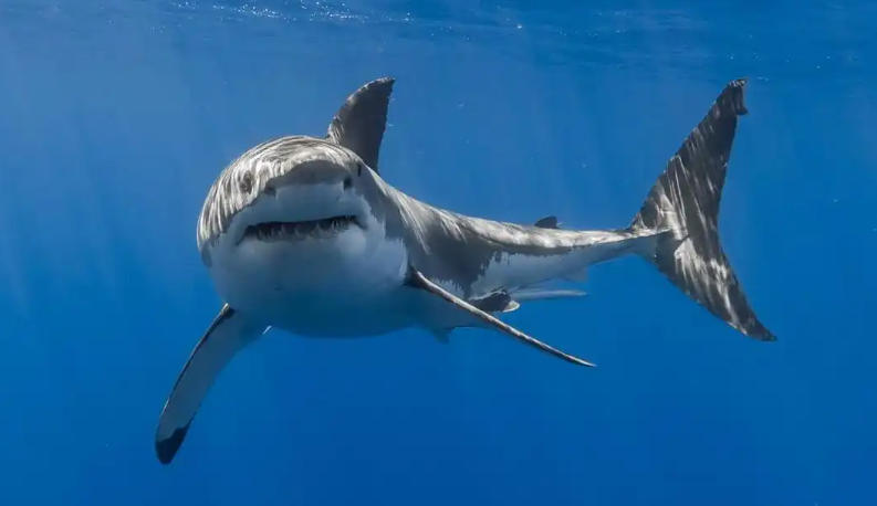 江苏环林五八环保科技有限公司轮播图5